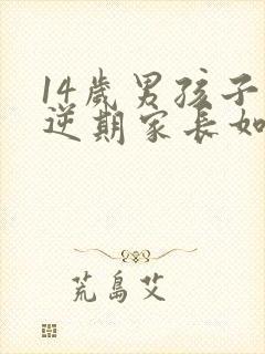 14岁男孩子叛逆期家长如何管教