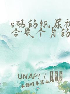 s码的纸尿裤适合几个月的宝宝