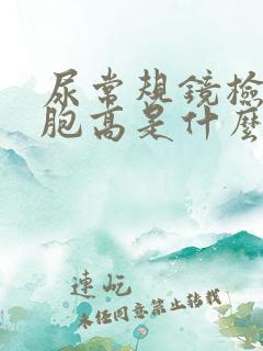 尿常规镜检白细胞高是什么原因