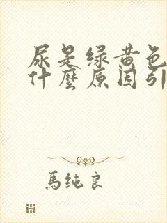 尿是绿黄色的是什么原因引起的