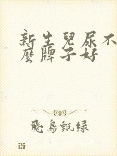 新生儿尿不湿什么牌子好