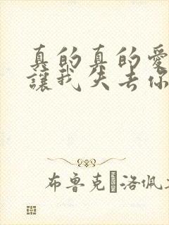 真的真的爱你别让我失去你是什么歌