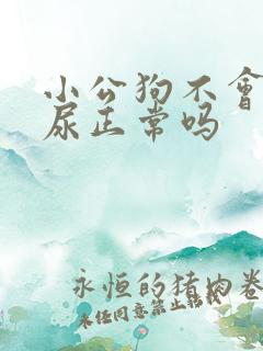 小公狗不会抬腿尿正常吗