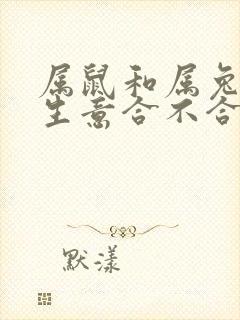 属鼠和属兔的做生意合不合财