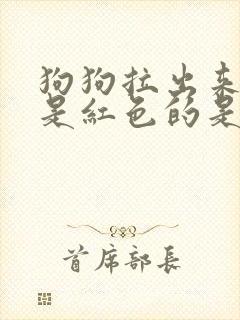 狗狗拉出来的尿是红色的是什么原因