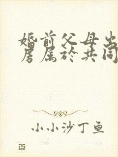 婚前父母出资买房属于共同财产吗