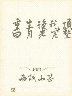 重生后我顶替了白月光完整txt下载