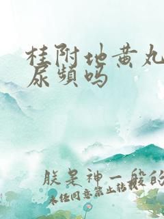 桂附地黄丸能治尿频吗