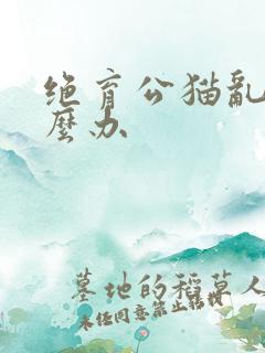 绝育公猫乱尿怎么办