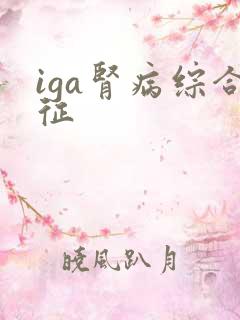 iga肾病综合征