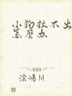 小狗拉不出屎来怎么办