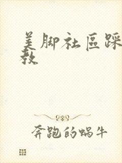 美脚社区踩踏调教