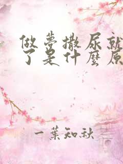 做梦撒尿就尿床了是什么原因