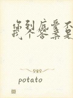 你到底爱不爱给我个答案是什么歌