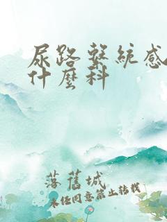 尿路系统感染看什么科