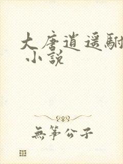 大唐逍遥驸马爷 小说