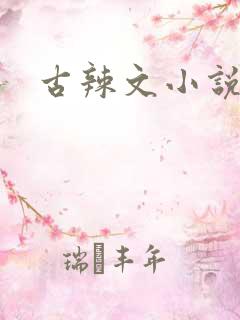 古辣文小说h