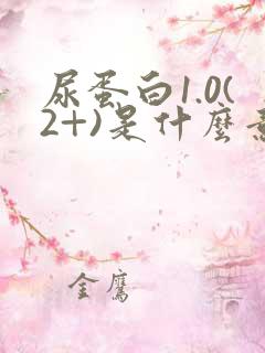 尿蛋白1.0(2+)是什么意思