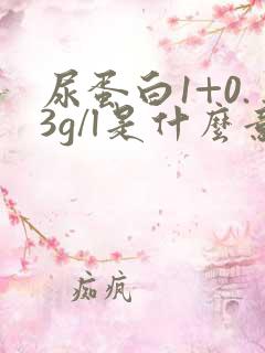 尿蛋白1+0.3g/l是什么意思