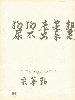 狗狗老是想尿又尿不出来是怎么了