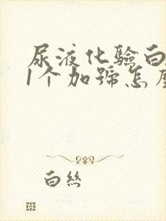 尿液化验白细胞1个加号怎么回事