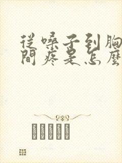 从嗓子到胸口中间疼是怎么回事