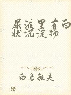 尿液里有白色絮状沉淀物