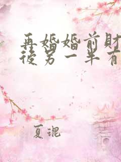 再婚婚前财产死后另一半有继承权吗