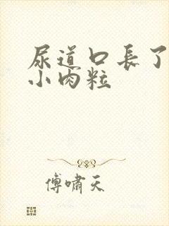 尿道口长了一颗小肉粒