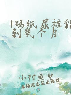 l码纸尿裤能穿到几个月