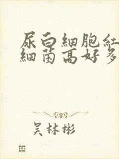 尿白细胞红细胞细菌高好多怎么回事