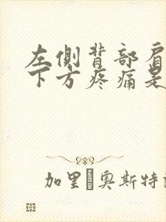 左侧背部肩胛骨下方疼痛是什么原因