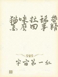 猫咪拉稀带血是怎么回事精神很好