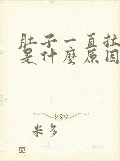 肚子一直拉烂屎是什么原因