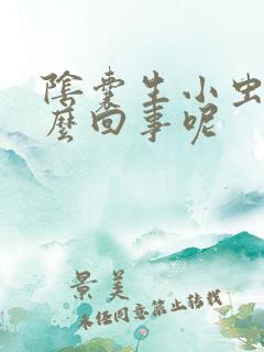 阴囊生小虫子怎么回事呢