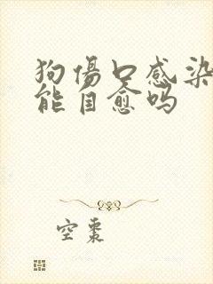 狗伤口感染化脓能自愈吗