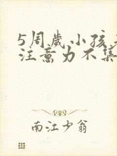 5周岁小孩老是注意力不集中