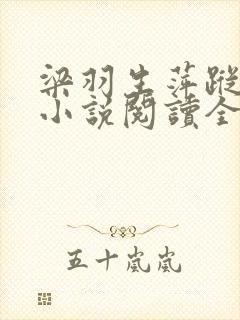 梁羽生萍踪侠影小说阅读全文