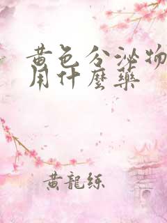 黄色分泌物瘙痒用什么药