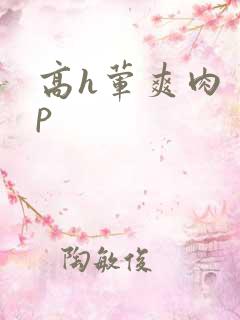 高h荤爽肉〈np