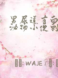 男尿道有白色分泌物小便刺疼