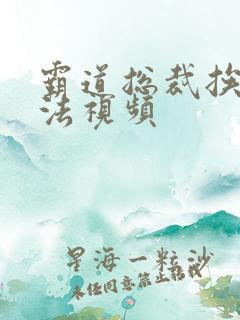 霸道总裁挨打家法视频