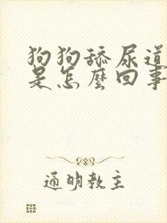 狗狗舔尿道口,是怎么回事