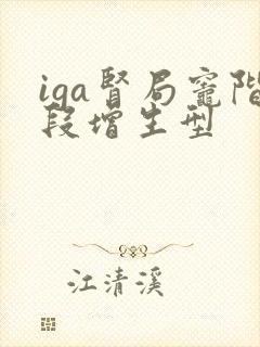 iga肾局灶阶段增生型