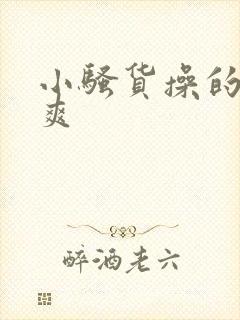 小骚货操的爽不爽