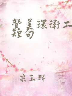 赞美环卫工人的短句