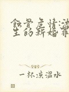 蚀骨危情:沈先生的新婚罪妻 小说