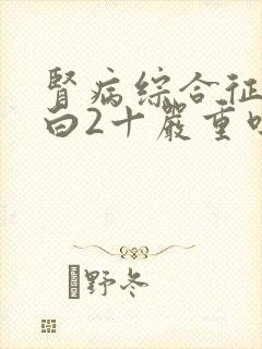 肾病综合征尿蛋白2十严重吗