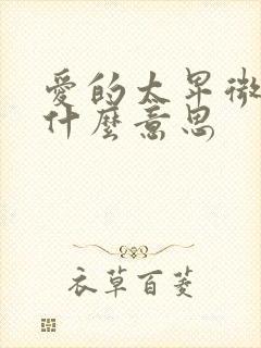 爱的太卑微了是什么意思