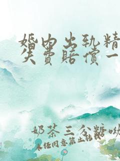 婚内出轨精神损失费赔偿一般多少钱